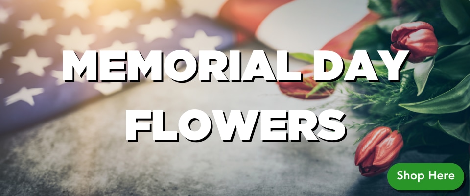 Flower Delivery to Oklahoma City by Capitol Hill Florist, Gifts & Flower Delivery